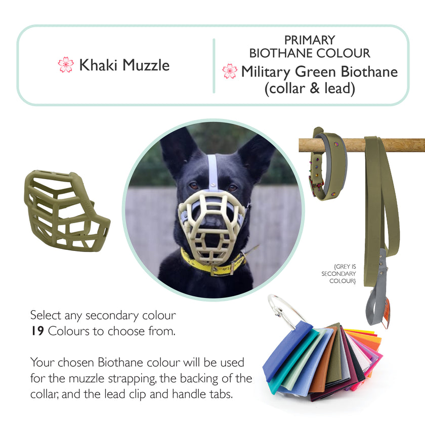 Tolly* Dog Muzzle Collar and Lead set