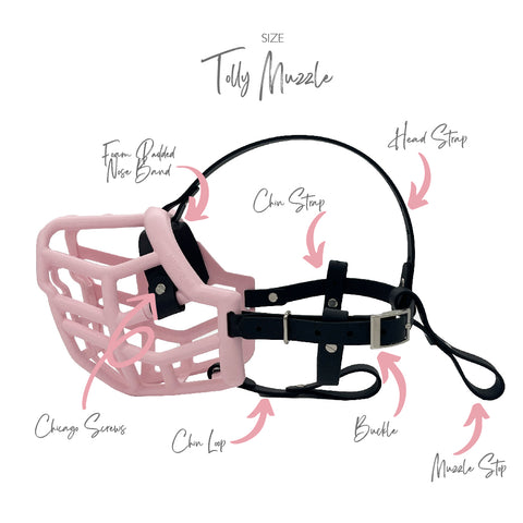 Size Tolly Dog Muzzle - Made to order muzzle with colour customisation