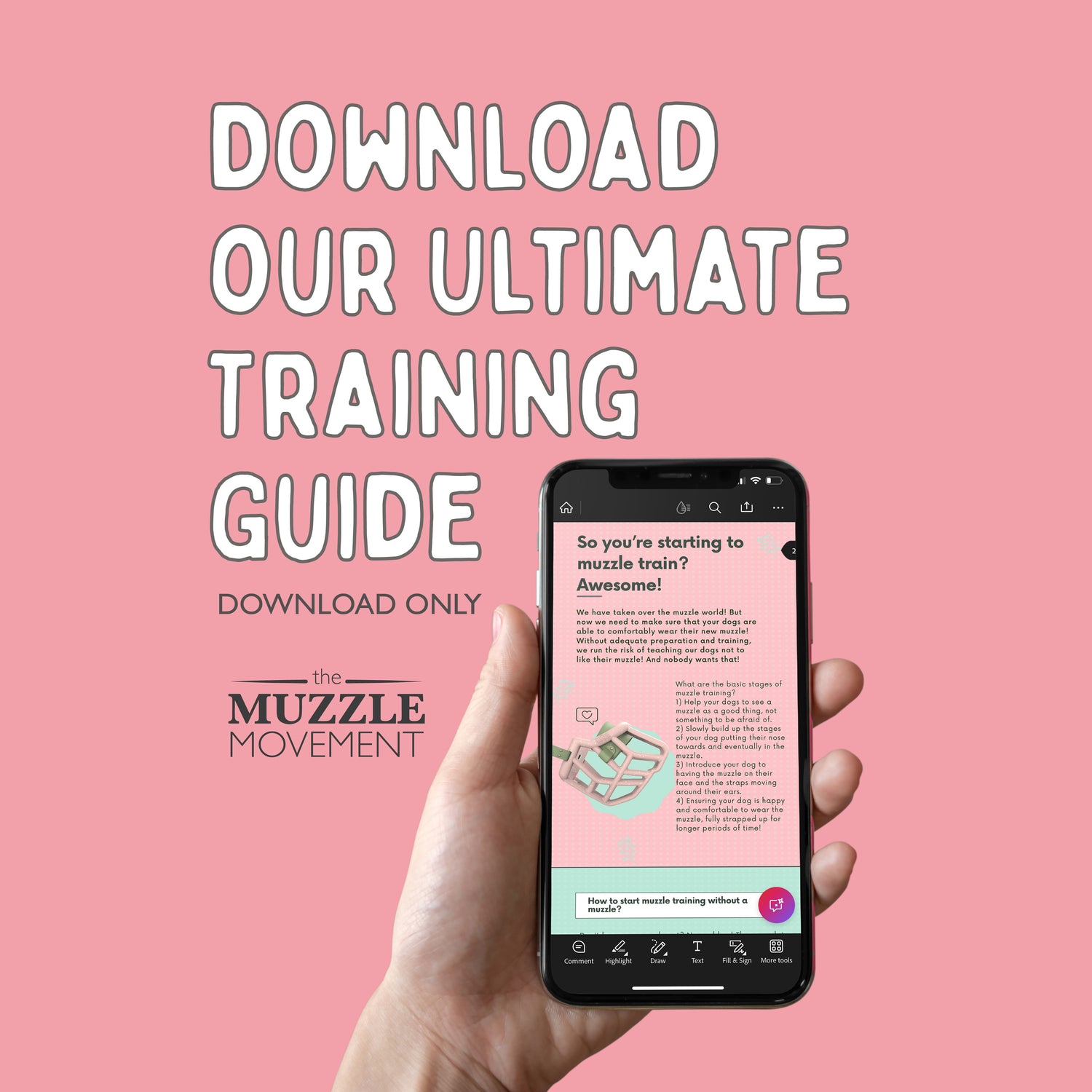 Le guide ultime de dressage de muselière