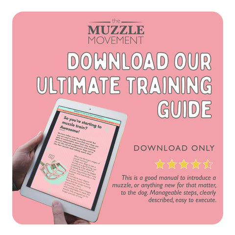 The Ultimate Muzzle Training Guide