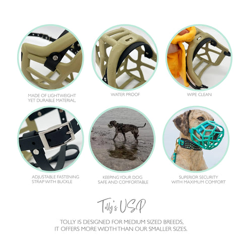 Size Tolly Dog Muzzle - Made to order muzzle with colour customisation