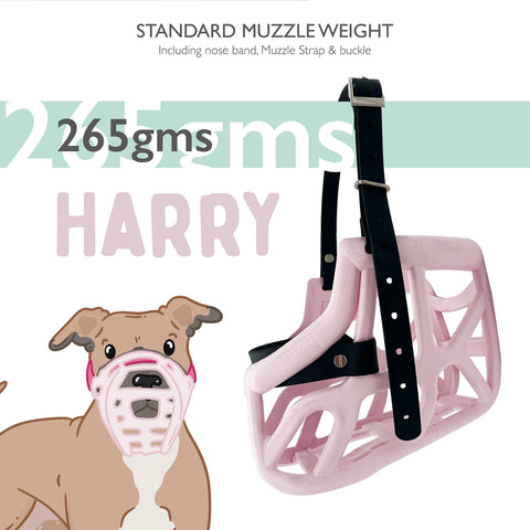 Size Harry original - Customisable