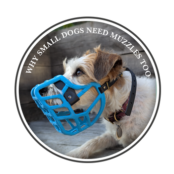 Why Small Dogs Need Muzzles Too