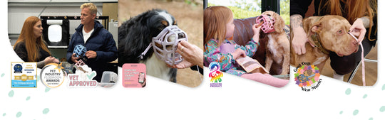 The Muzzle Movement - awards and muzzle fitting