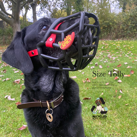 The Muzzle Movement Black Muzzles – Limited Edition Recycled for Trade