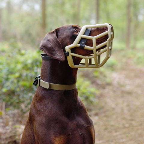 Size Sunny Dog Muzzle- Made to order muzzle with colour customisation