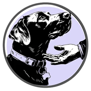 The promotion of force-free training methods