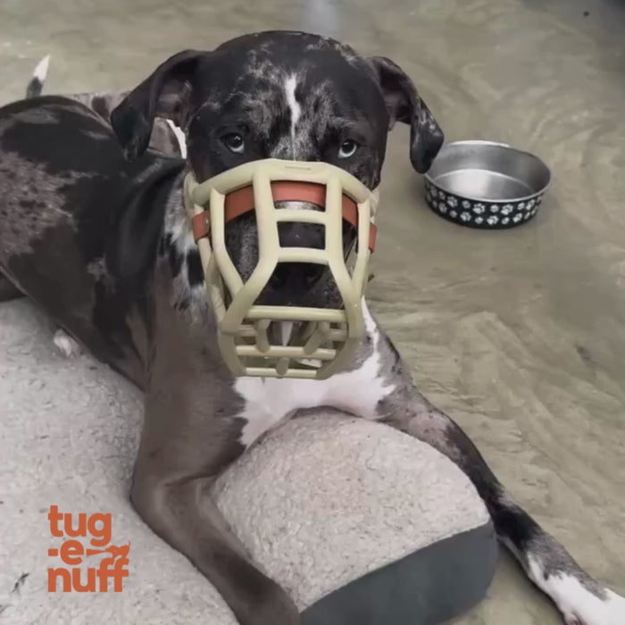 Tug-E-Nuff | Bright Fauxtastic Dog Tug Toy The Muzzle Movement
