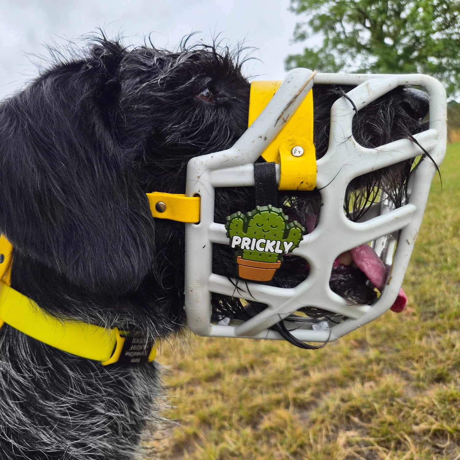 Snooties™ –   Prickly Snootie Muzzle Charm