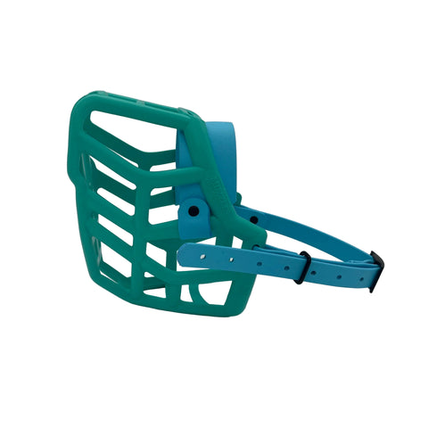 The Muzzle Movement teal dog muzzle with skyan blue strapping and black hardware on a white background