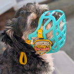A small fluffy dog wearing a teal dog muzzle and yellow biothane with a snootie muzzle charm reads 'tiny Tornado'.