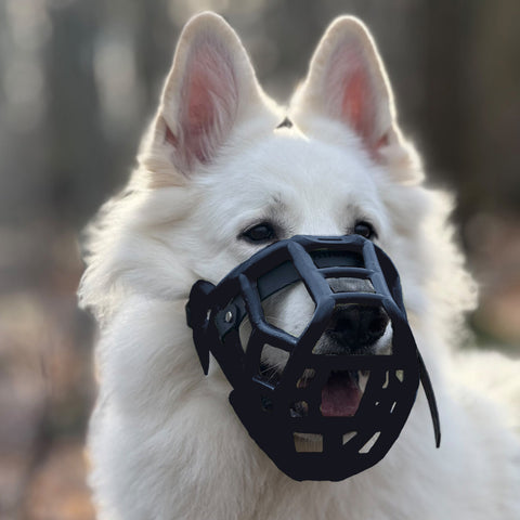 Sunny Black Muzzle – Limited Edition Recycled - Ready to Ship